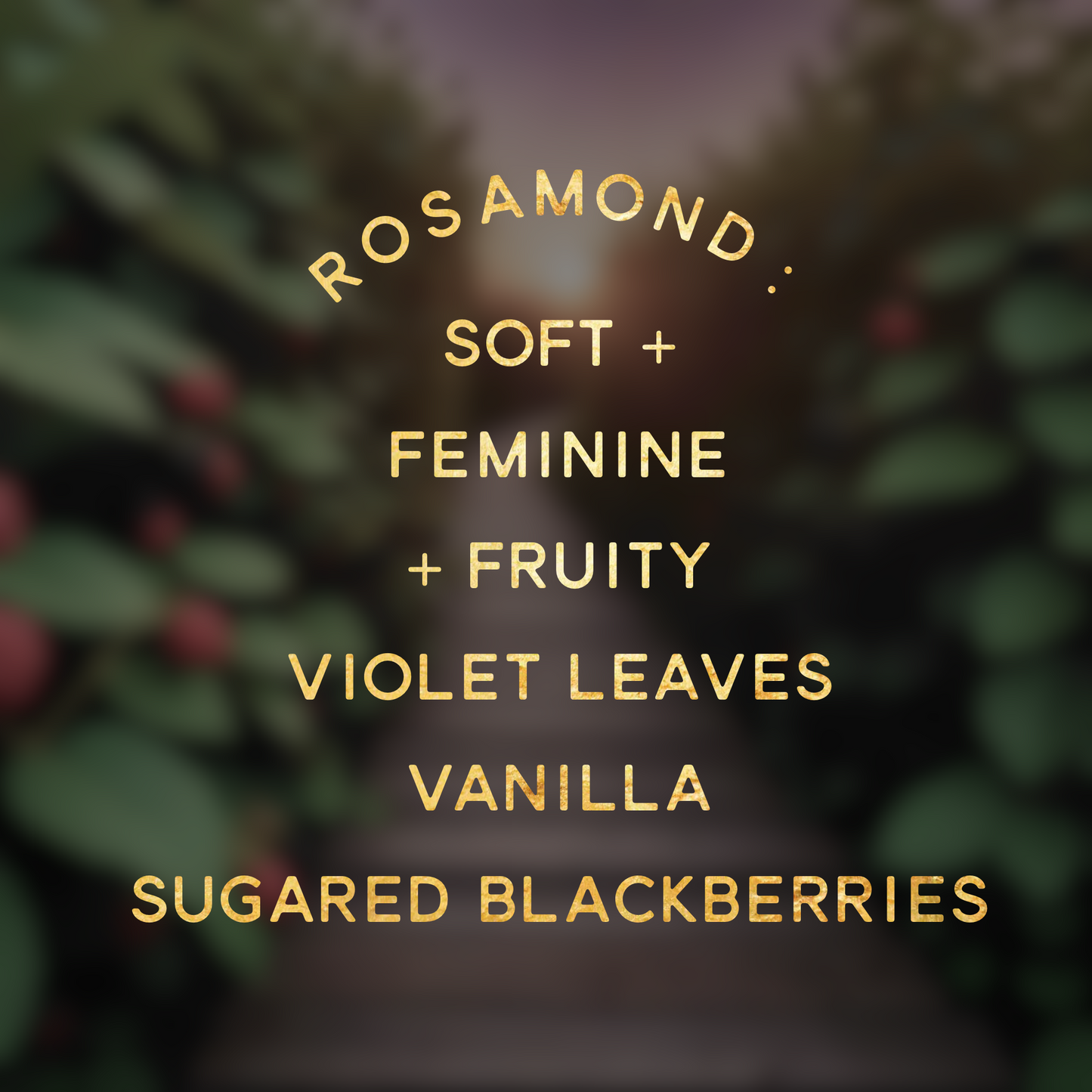 Classic Line Candles